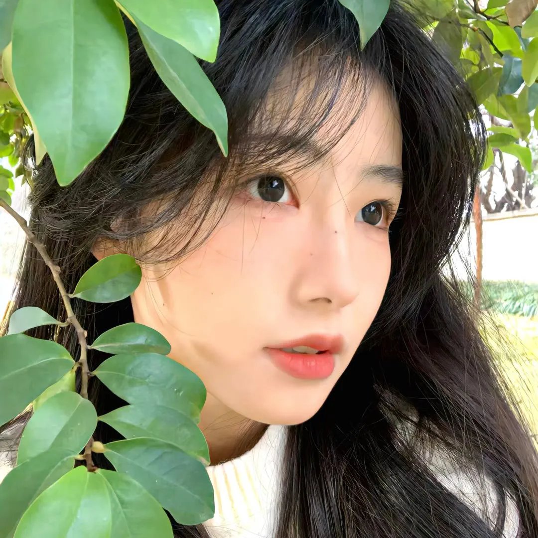 南波万的聚会